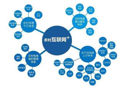 互聯(lián)網(wǎng)+農(nóng)業(yè) 農(nóng)業(yè)電商平臺(tái)的發(fā)展困境與未來突圍