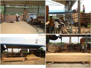 上海旬勒建材 木材加工與建筑材料的專業(yè)服務商